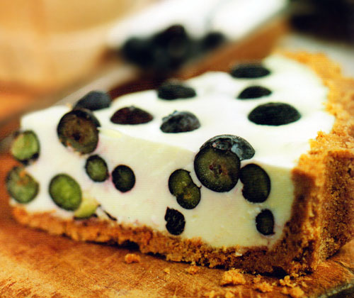 Blueberry Yoghurt Cream Pie Recipe