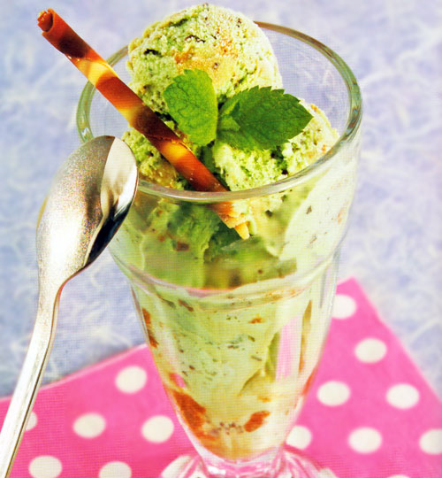 Classic Mint Choc Chip Ice Cream Recipe